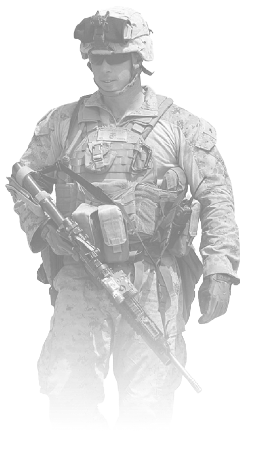 DataMix Defender | Soldier
